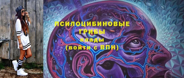 соль ск Тайга